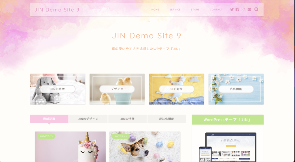 JIN Demo 9の外観