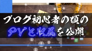 ブログの初心者だった頃のPVと収益を公開